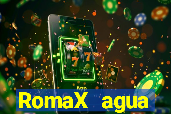 RomaX agua sanitaria fispq agua sanitaria romax